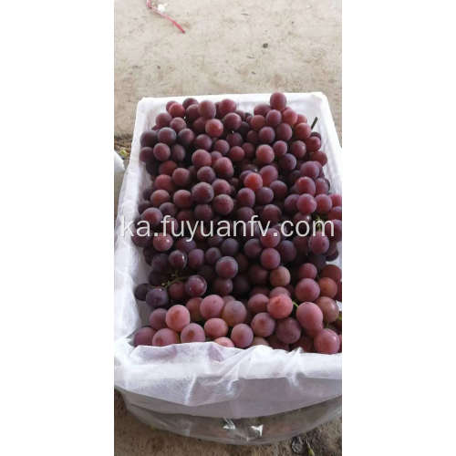 წითელი Seedless ყურძენი კვების